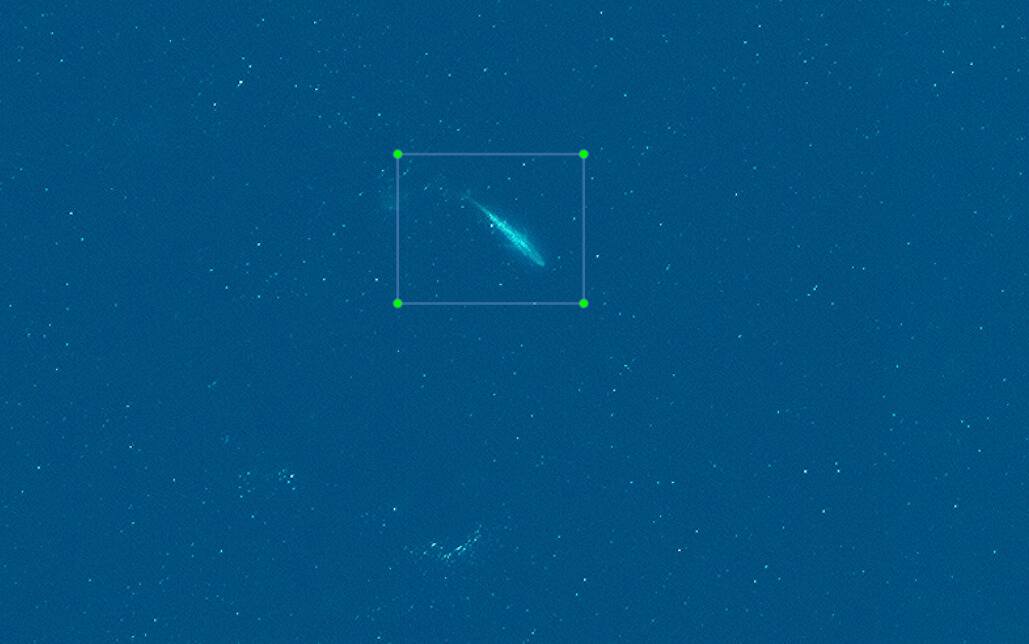 5_Blue whale_Satellite imagery © 2022 Maxar Technologies Fin whale (Balaenoptera physalus) mother and calf photo: Caroline Hoeschle